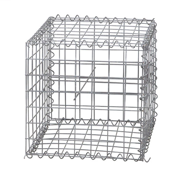 316 Mail de fil hexagonal en acier inoxydable